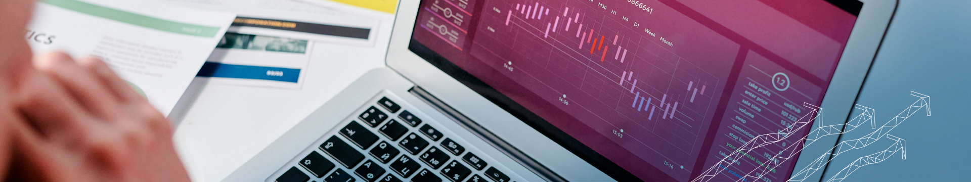 Pexels Tiger Lily 7109291 Ok